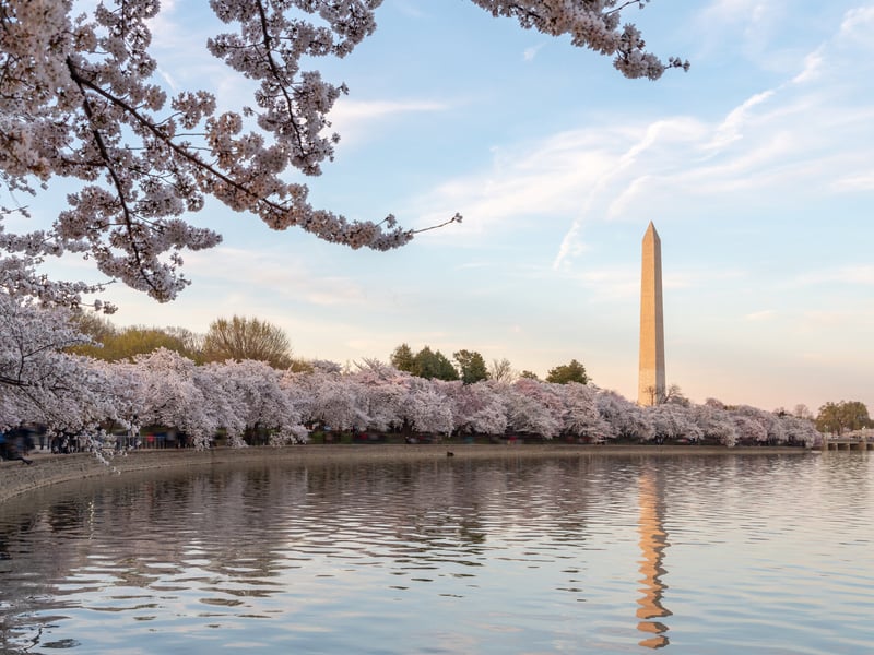 Washington D.C. skyline