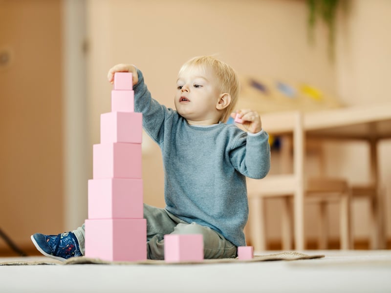 Montessori Schools